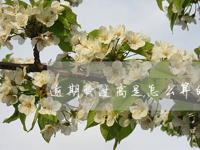 逾期费过高是怎么算的 逾期费过高是怎么算的