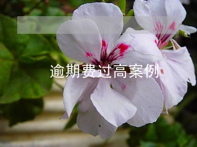 逾期费过高案例 逾期费过高案例