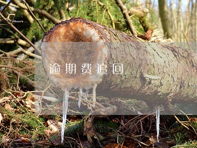 逾期费追回 逾期费追回