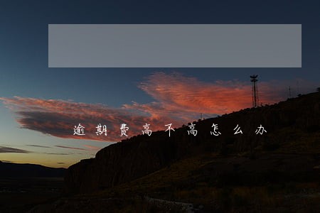 逾期费高不高怎么办 逾期费高不高怎么办