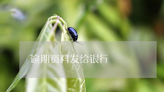 逾期资料发给银行