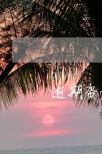 逾期资讯短信 逾期资讯短信