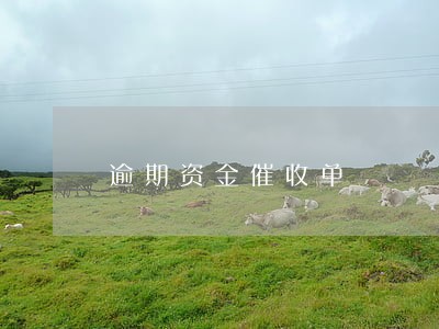 逾期资金催收单 逾期资金催收单