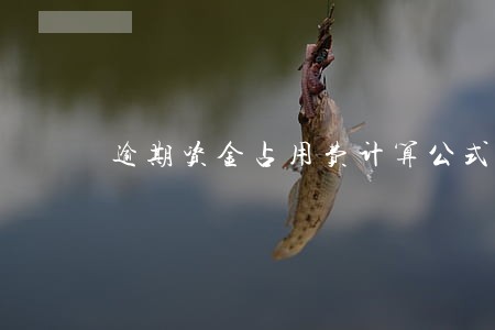 逾期资金占用费计算公式 逾期资金占用费计算公式