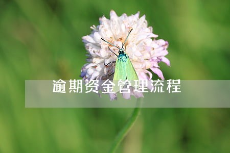 逾期资金管理流程 逾期资金管理流程
