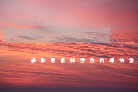 逾期资金账薄会有滞纳金吗 逾期资金账薄会有滞纳金吗