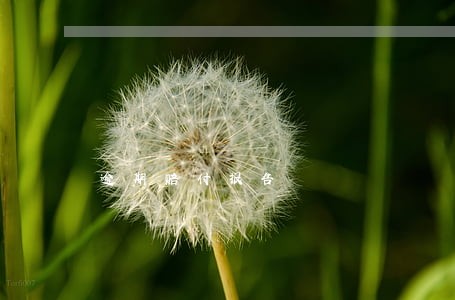 逾期赔付报告 逾期赔付报告