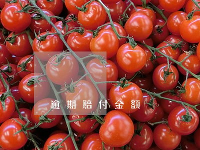 逾期赔付金额 逾期赔付金额