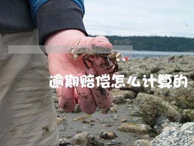逾期赔偿怎么计算的 逾期赔偿怎么计算的