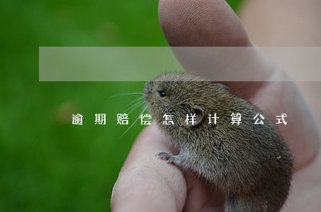 逾期赔偿怎样计算公式 逾期赔偿怎样计算公式