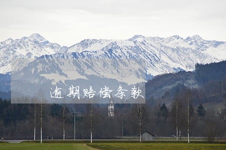 逾期赔偿条款 逾期赔偿条款