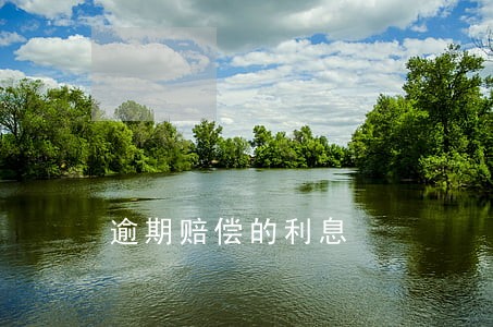 逾期赔偿的利息 逾期赔偿的利息