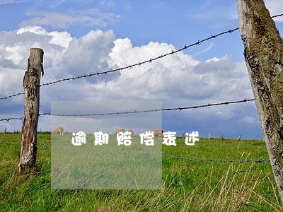 逾期赔偿表述 逾期赔偿表述