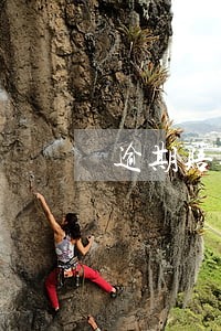 逾期赔偿追索流程 逾期赔偿追索流程