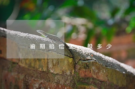 逾期赔偿金一般多少 逾期赔偿金一般多少