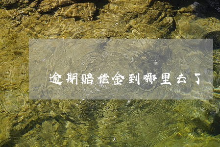 逾期赔偿金到哪里去了 逾期赔偿金到哪里去了