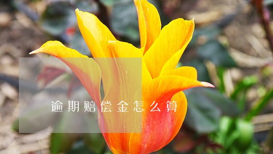 逾期赔偿金怎么算 逾期赔偿金怎么算