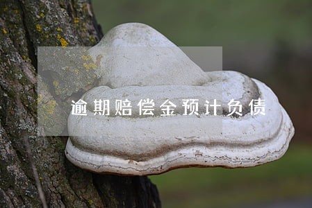 逾期赔偿金预计负债 逾期赔偿金预计负债