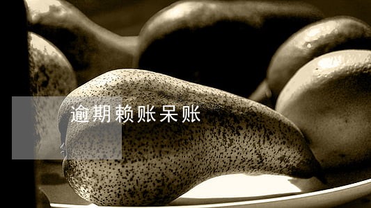 逾期赖账呆账 逾期赖账呆账