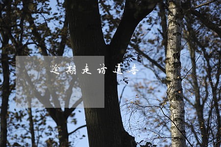 逾期走访通告 逾期走访通告