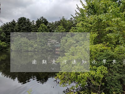 逾期走访通知说带典当行工作人员