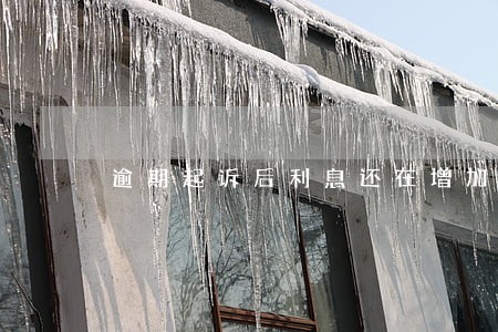 逾期起诉后利息还在增加 逾期起诉后利息还在增加