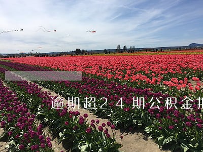 逾期超24期公积金拒贷 逾期超24期公积金拒贷