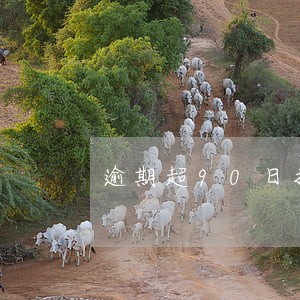 逾期超90日接房可以解除合同吗 逾期超90日接房可以解除合同吗