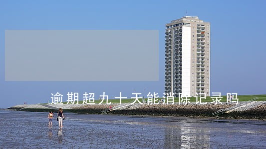 逾期超九十天能消除记录吗 逾期超九十天能消除记录吗