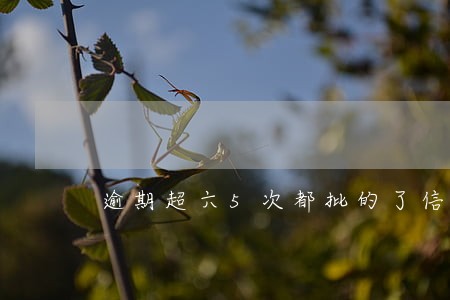 逾期超六5次都批的了信用卡 逾期超六5次都批的了信用卡