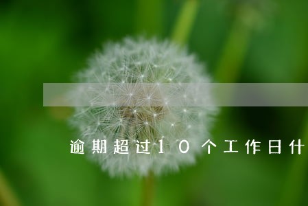 逾期超过10个工作日什么意思 逾期超过10个工作日什么意思