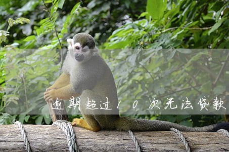 逾期超过10次无法贷款 逾期超过10次无法贷款