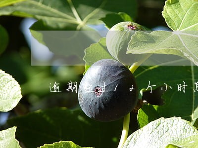 逾期超过12个小时怎么办 逾期超过12个小时怎么办