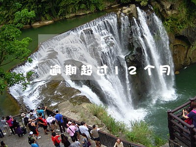 逾期超过12个月 逾期超过12个月