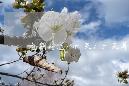 逾期超过15天15天算么 逾期超过15天15天算么