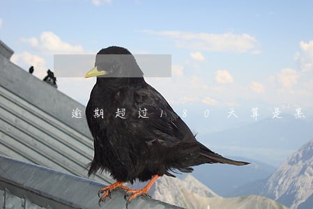 逾期超过180天算是黑户吗 逾期超过180天算是黑户吗