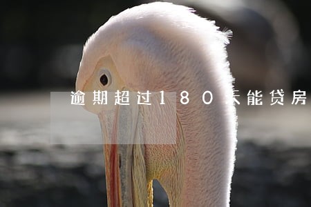 逾期超过180天能贷房贷吗 逾期超过180天能贷房贷吗