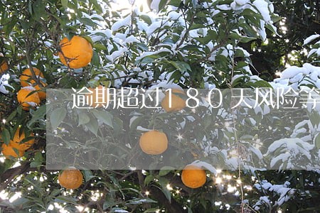 逾期超过180天风险等级 逾期超过180天风险等级