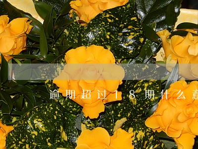 逾期超过18期什么意思