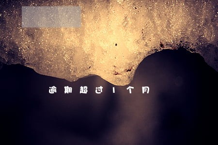 逾期超过1个月 逾期超过1个月