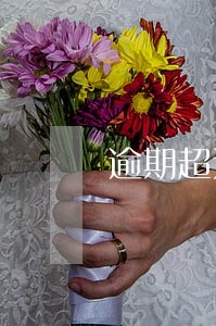 逾期超过1天 逾期超过1天