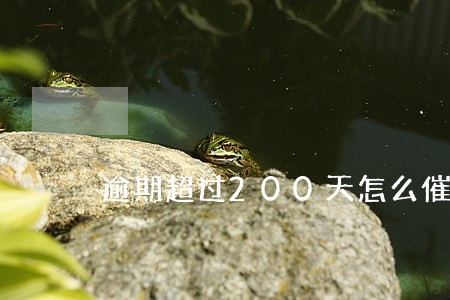 逾期超过200天怎么催收 逾期超过200天怎么催收
