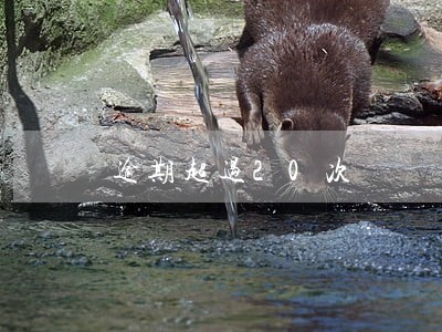 逾期超过20次 逾期超过20次
