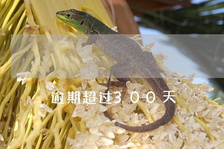 逾期超过300天 逾期超过300天