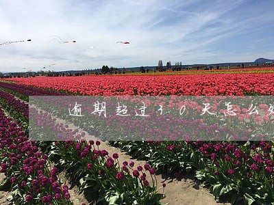 逾期超过30天怎么处理 逾期超过30天怎么处理