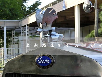 逾期超过30天滞纳金怎么算 逾期超过30天滞纳金怎么算