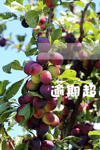逾期超过30天累计超过三次 逾期超过30天累计超过三次