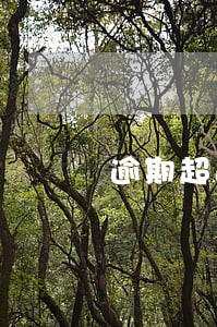 逾期超过30要求全额还款 逾期超过30要求全额还款