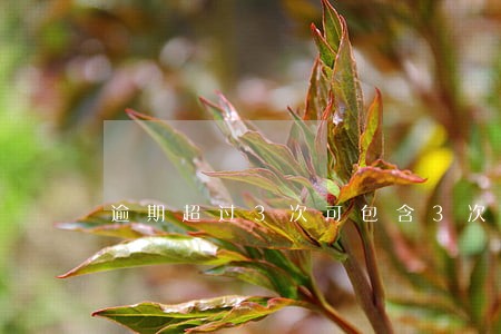 逾期超过3次可包含3次贷款 逾期超过3次可包含3次贷款