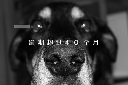 逾期超过40个月 逾期超过40个月
